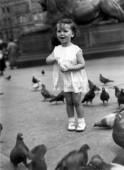 Small girl feeding the pigeons in Trafalgar Square  London  c 1930s.