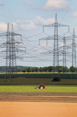 Dueren  Deutschland  Strommasten auf einem Feld