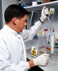 Molecular geneticist adding a radioctive probe to hybridisation bottles.