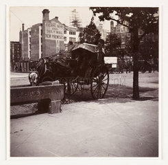 Hansom cab  c 1900.