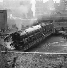 Locomotive number 60117  1950