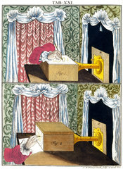 Using a camera obscura to draw insects  1776.