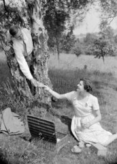 Couple having a picnic  c 1950.