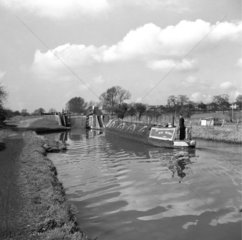Barge approaching Slaughter’s Lock  Boxmoor  Hertfordshire  1950.
