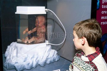 'What Makes Certain'  Science Museum  London  1997.