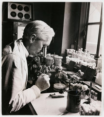 Alexander Fleming  Scottish bacteriologist  18 December 1943.