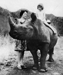 Child riding a rhino  January 1981.