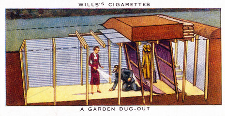 ‘A Garden Dugout’  Wills cigarette card  1938.