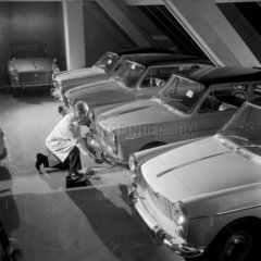 An employee fixes a registration plate on to one of a line of new Austin A40 cars.