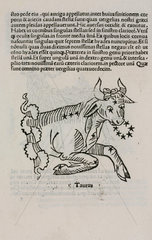 The constellation of Taurus  1488.