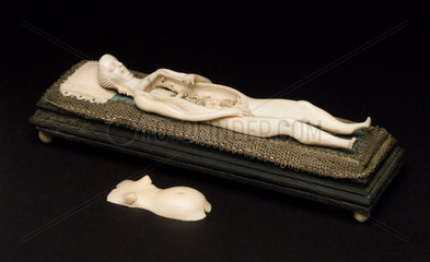 Ivory anatomical figure  17th-18th century.