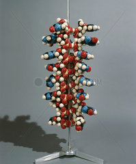 Pauling's DNA model  1976.