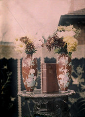 Autochrome of two red Chinese vases with flowers and a book  c 1910.