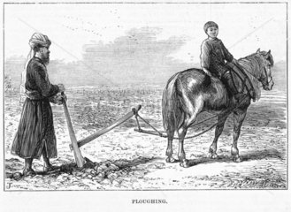 ‘Ploughing’ in Eastern Turkestan  c 1870s.