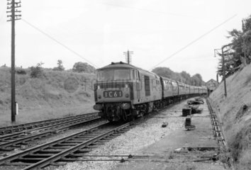 'Hymek'  British Railways Type 3 diesel hyd