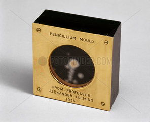 Fleming's penicillin mould  1935.