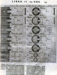 Diagrams of camera obscuras  c 1626-1630.