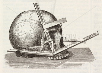 Measurement of the skull  1883.