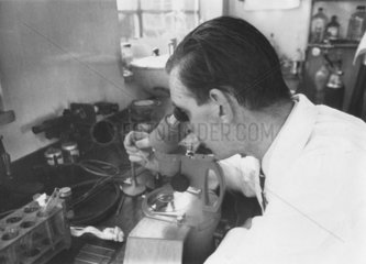 Scientist conducting IVF research  Jessop Hospital  Sheffield  1970.