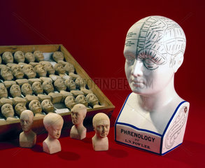 Fowler’s phrenological head and a case of sixty phrenological heads  1831-1896.