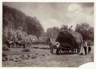 Haymaking  c 1890.