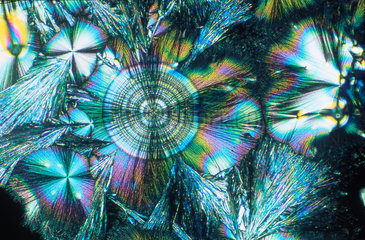 Ascorbic acid  light micrograph  1990s.