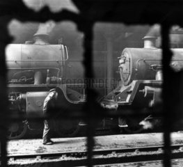 Locomotives in St Margaret’s shed  Edinburgh  13 June 1965.