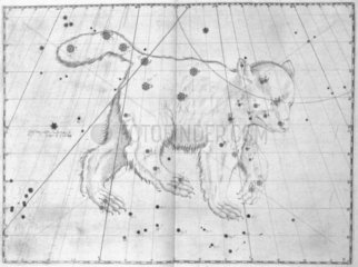 The constellation Ursa Major  1603.