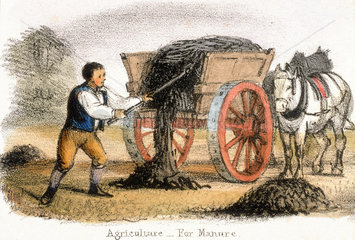 'Agriculture  for Manure'  c 1845.
