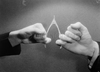 Pulling a wishbone  1952.