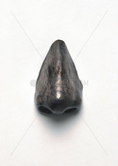 Artificial nose  17th-18th century.