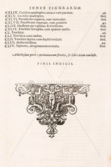 Index to illustrations in Bockler's 'Theatrum Machinarum Novum'  1662.