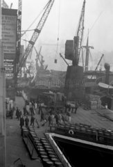 Workers unloading foodstuffs from boats  London  October 1931.