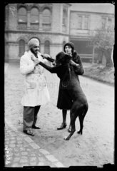 Large dog greets a vet outside the Royal Veterinary College  London  1932.