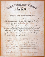 Royal Veterinary College certificate (MRCVS)  1878.