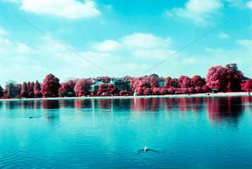 Kensington Gardens  London  c 1990.