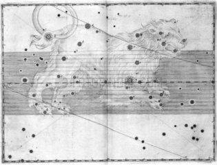 The constellation Leo  1603.