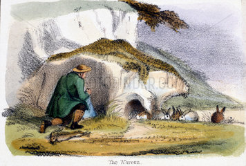 'The Warren'  c 1845.