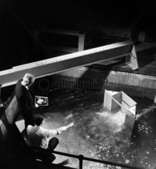 Testing a water turbine in under water tanks  physics laboratories 1961.