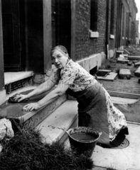 Scrubbing the doorstep  28 September 1946.