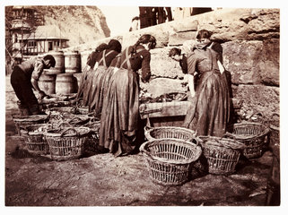 Women sorting the catch  Whitby  North Yorkshire  c 1905.