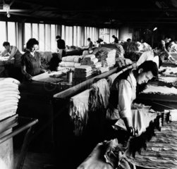 Leather workers in chamois leather factory  London Leather works  1957.
