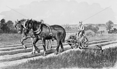 Two Horse Mower  by Bamlett  illustration c
