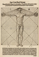 Proportions of a man's body  1548.