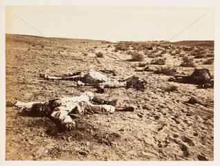 Dead soldier at Tel-el-Kebir  Egypt  6 December 1882.