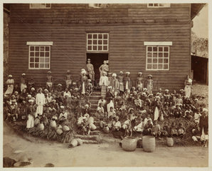 Tea plantation workers  Ceylon  c 1870.