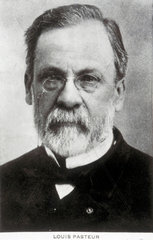 Louis Pasteur  French chemist and microbiologist  c 1885.