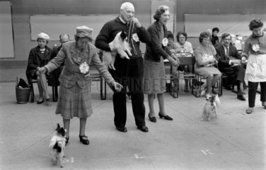 Cruft's Dog Show  London  1968.