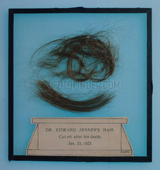 Sample of Edward Jenner's hair  1823.