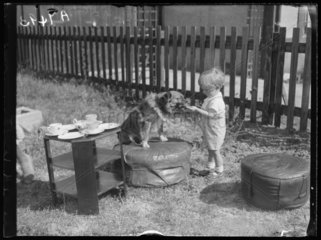 A small boy feeding a dog  1932.